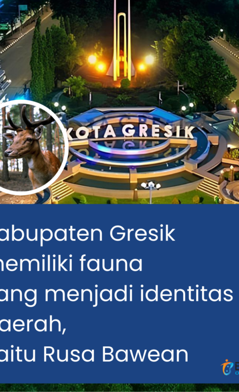 tempat-outbound-gresik